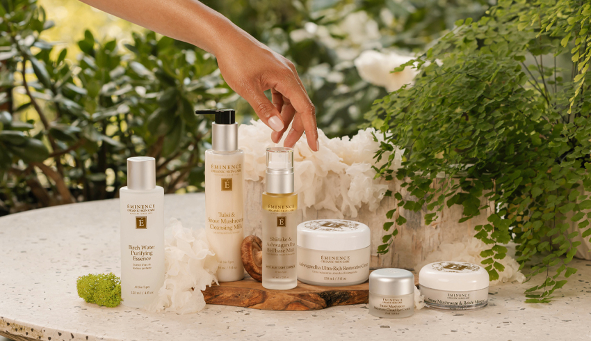 All 6 Pure Forest products with a hand reaching for them